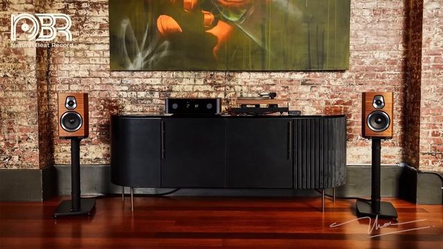 Deep Bass & Dynamic Sound - Sound Test Speaker - Natural Beat Records