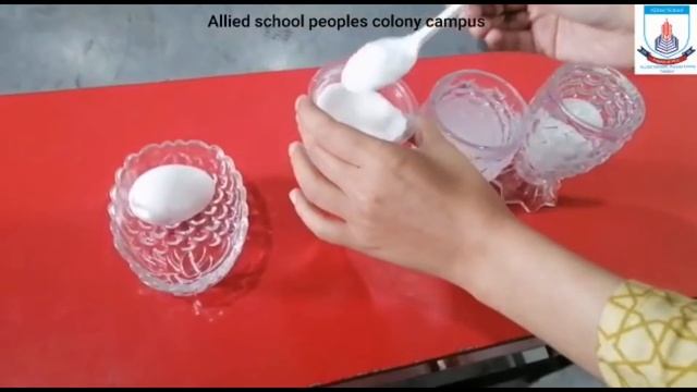 Science Experiment | Water Density | Class Activity | Allied Schools смотреть онлайн