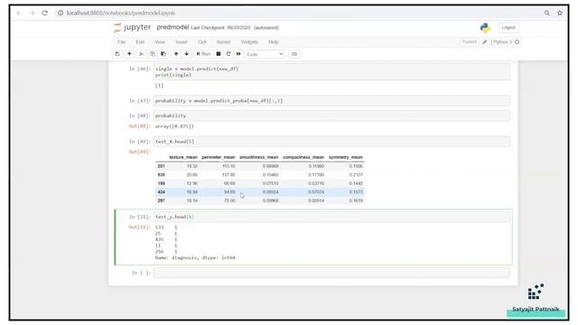Machine Learning Model Deployment using Flask | Flask RESTFUL API смотреть онлайн