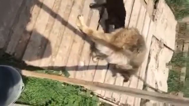 Гарик смотреть онлайн