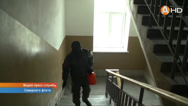 Молодое пополнение влилось в состав мотострелковой бригады Северного флота смотреть онлайн