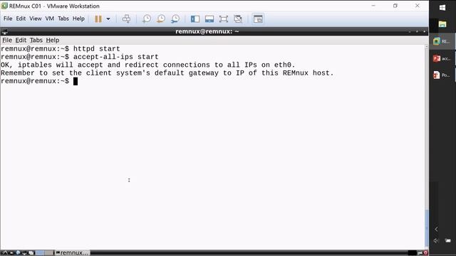 How to Intercept IP Connections in a Malware Analysis Lab смотреть онлайн
