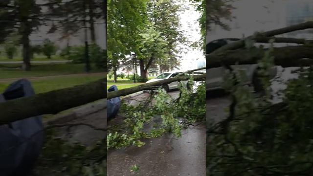 Последствия урагана в Подмосковье. смотреть онлайн