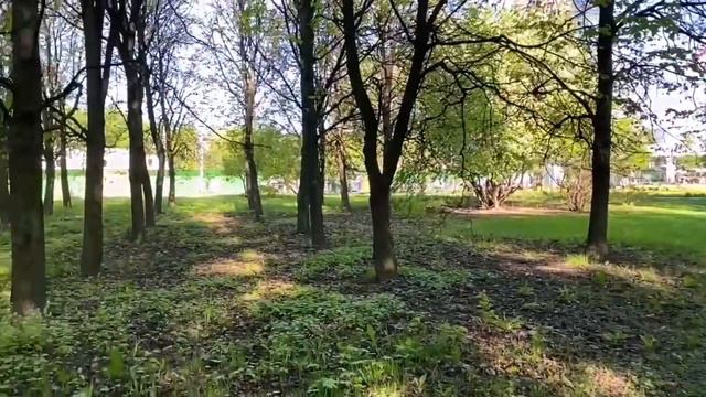 Парк Будущего. г. Москва. смотреть онлайн