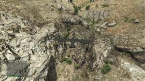 ЛОФОФОР GTA 5 Птица