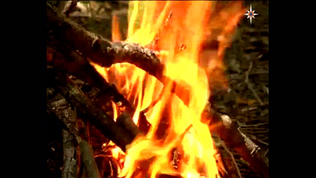 ЛЕСНЫЕ ПОЖАРЫ