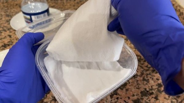 Основы ДВЦ. Как устроена гидропоника, подготовка семечки. Часть 1