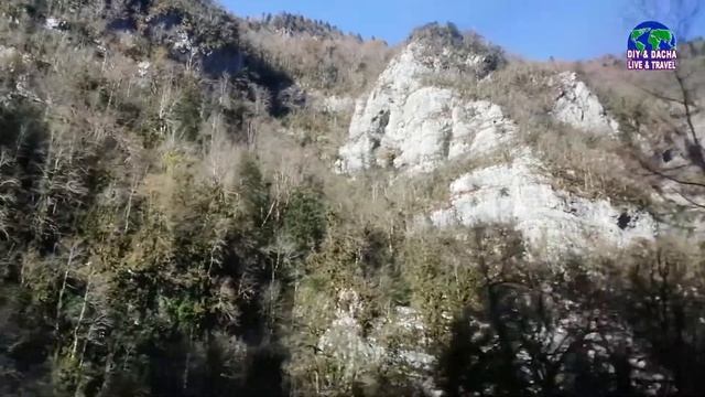 Абхазия. Рицинский национальный парк. Экскурсия с гидом. DIY & DACHA. LIVE & TRAVEL 26 смотреть онлайн
