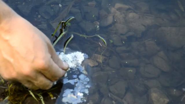 Как горит охотничья спичка под водой #леснойпенек смотреть онлайн