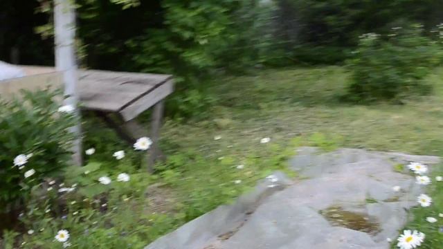 Приводим в порядок запущенный участок смотреть онлайн