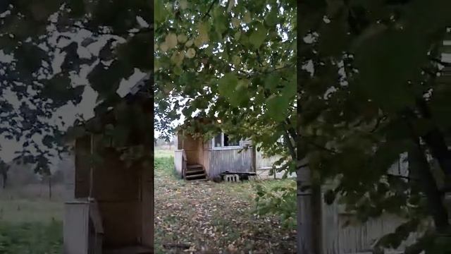 Дом Псковская обл.станция Чихачево ( 80 км от Пушкинских гор) Продажа 800 тыс руб. смотреть онлайн