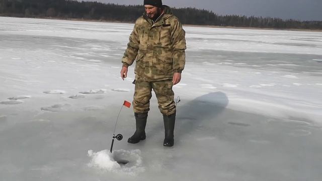 Щука после праздника. Миллион поклёвок на плотву. 24 февраля. Вдх. Левки. смотреть онлайн