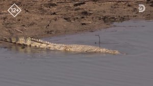 Луангва. Дикие реки Африки