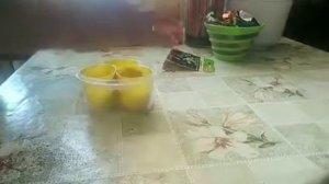 Как посадить семена перца в таблетки