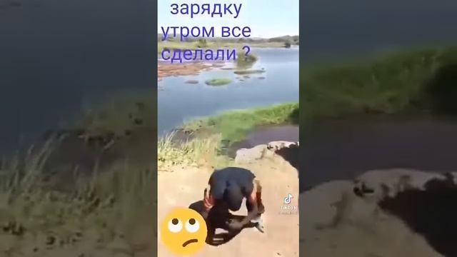 Зарядка утром смотреть онлайн