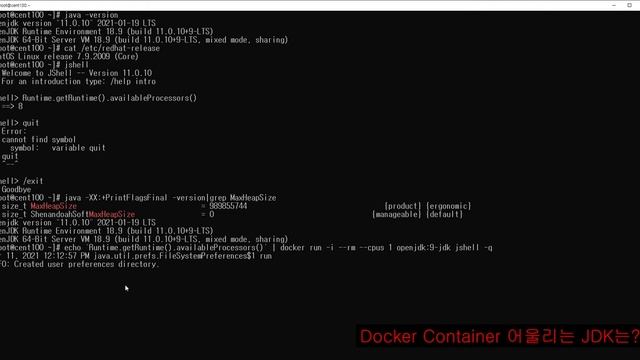 Which JDK to Use with Docker Containers? смотреть онлайн