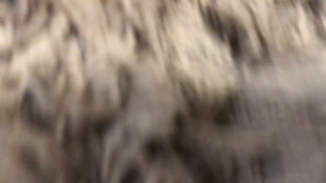 Обзор пылесоса Dreame T10