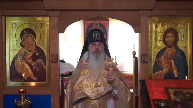 Радикалы и реформаторы смотреть онлайн