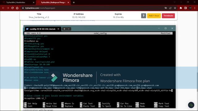 TryHackMe Bulletproof Penguin Walkthrough - Penetration Testing & Ethical Hacking Tutorial