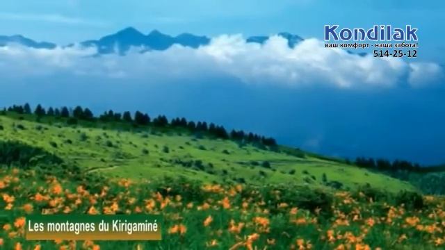 Кондиционеры Mitsubishi Electric серия De Luxe FH Me3.mp4