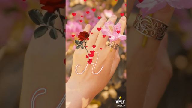 write name A status love is life смотреть онлайн