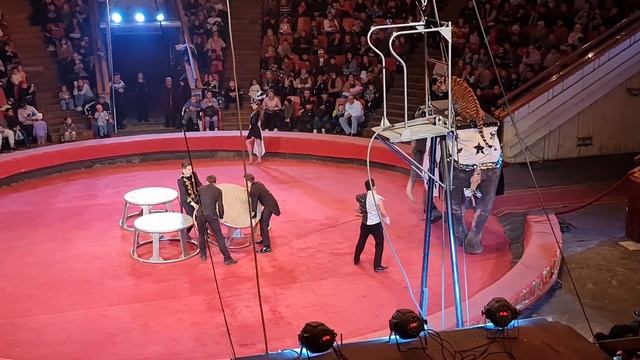 Цирк братьев Гертнер в Бишкеке. Атракцион "Тигр на индийском слоне". смотреть онлайн