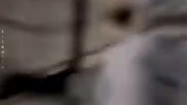 Чжи Чан Ук 🖤 Заказ 💜 Сахарочка💜 смотреть онлайн