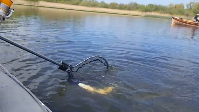Ловля крупной Щуки в Ирландии смотреть онлайн