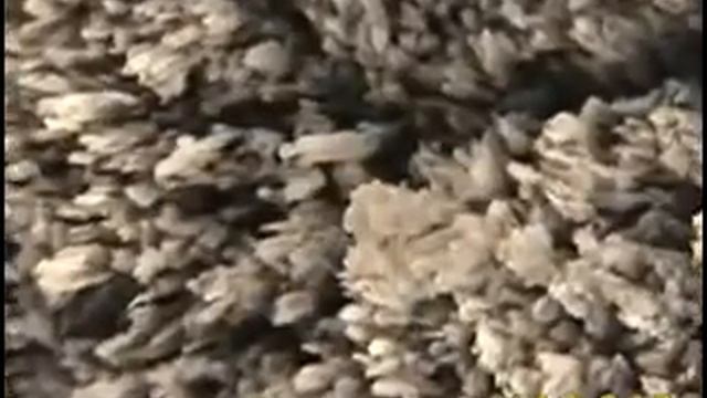 Строение зубной эмали смотреть онлайн