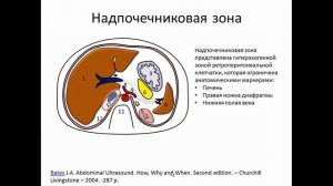 УЗИ надпочечников