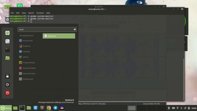 How to use Task Manager on Linux Mint (Ctrl+Shift+Esc) смотреть онлайн