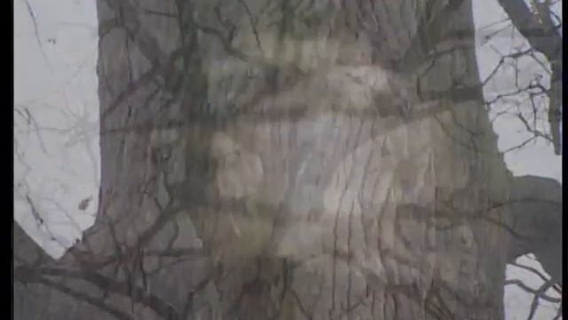 Утешители смотреть онлайн