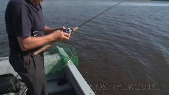 Рыбалка на северной Сосьве. Язь. смотреть онлайн