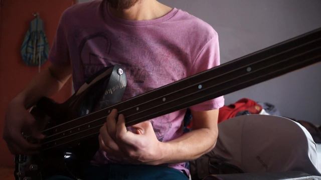 Washburn WB44 Fretless смотреть онлайн