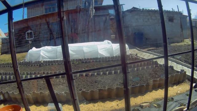 Цветут импатиенсы🌸 чем кормить цветущие🌺🌸 перевалка кальцеолярии🍀 смотреть онлайн