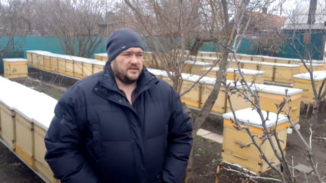 Пасека 6 января. Расплод - что делать? смотреть онлайн