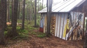 Топозеро,Северная Карелия.Рыбалка и отдых в доме на острове.