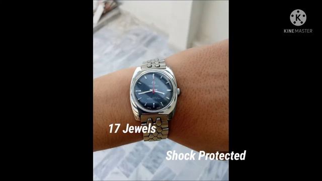 Tressa Swiss Made 17 jewels Shock Protected смотреть онлайн