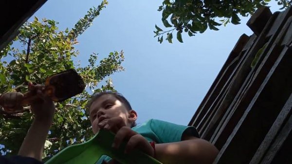 Собака за 60 миллионов рублей|влог на даче