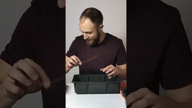 Грунт для кактусов и суккулентов смотреть онлайн