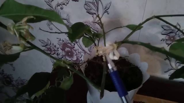 Строительные Загадки