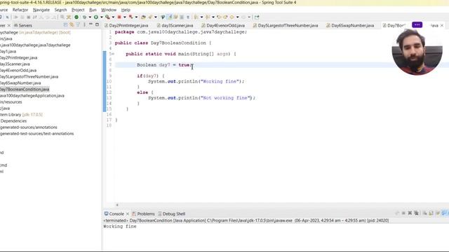 JAVA Placement Series 100 Days challenge -- DAY7(Boolean Condition asked in Interview) смотреть онлайн
