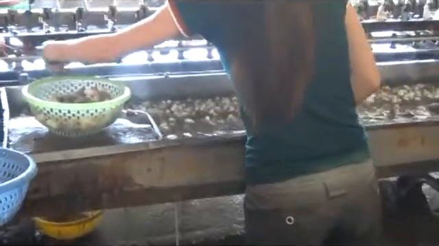 Шелковая фабрика Далат Вьетнам смотреть онлайн