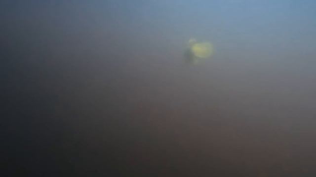 MEGABASS SLEEPER GILL смотреть онлайн