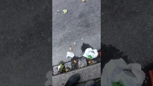 Швеция, Мальмё: улица у знаменитых каналов старого города смотреть онлайн