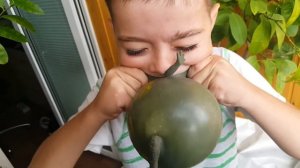 Степа надувает лягушку ч2