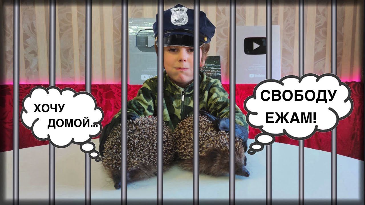 СПАСЛИ ЁЖИКОВ И ОТПУСТИЛИ ИХ НА СВОБОДУ смотреть онлайн