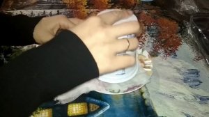 Посев артишока на рассаду