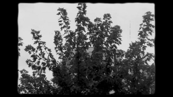 Жить Без Усилий