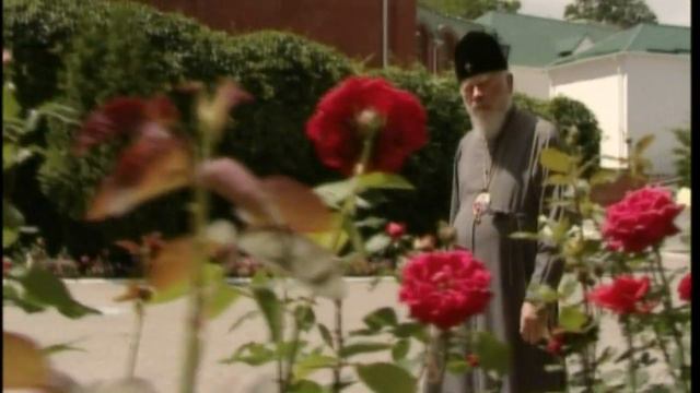 79 років з Дня народження Блаженнішого Митрополита Володимира смотреть онлайн